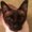Photo of P P.