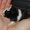 Photo of Qype User (kakab…)