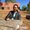 Photo of Girm T.