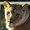 Photo of Toccara B.