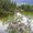 Photo of Laura W.