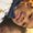 Photo of Sabrina G.