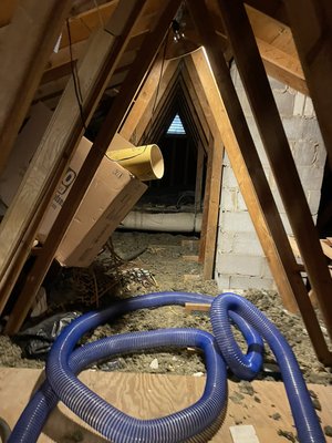 Rodents removal and attic restoration. - The Process of Attic restoration￼