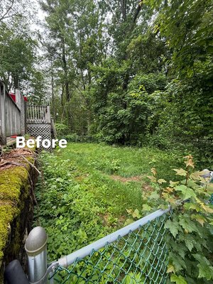Landscaping before and after for a customers back yard - 📍 Kingston, NH — Check Out This Transformation! 🌿➡️✨
This backyard was completely overgrown… but not anymore.

We cleared out the brush, removed the weeds, and gave this space a fresh, clean look—ready for summer.

✅ Full yard cleanup
✅ Brush + weed removal
✅ Improved curb appeal in just one visit

Have a space that needs a serious reset? We’re just a message away.

📞 (603) 288-5371
🌐 manchesternhcleaning.com

#BeforeAndAfter #YardCleanup #KingstonNH #NHServices #BackyardMakeover #LawnCareNH #ManchesterCleaning #PropertyCleanup #NHExteriorCleaning