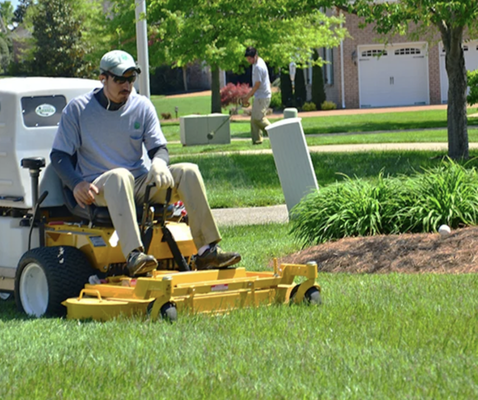LAWN CARE - LAWN CARE
There is nothing better than to step on a perfect lawn. Our team is highly trained to be able to provide the best lawn our customers can get. From attenading Rutgers. Certification courses to hands on training, Refined will help you restore, and keep your lawn how it should be; by using our credentials, years of experience and. licenses. Our lawn care services is beyond any customer can get for their value. Refined will customize and monitor your lawn every season from start to finish.
Lawn Care Services
○ Weekly and Bi-Weekly Lawn Maintenance. Lawn Mowing Services. Grass detaching, Aeration, Lawn Fertilizer, Pre-Emergents, Post-Emergents, Insecticides, Fungicides, Grub Control, Soil Testing, Spot Seeding and many more! (organic preferences are also available) LAWN CARE - LAWN CARE
There is nothing better than to step on a perfect lawn. Our team is highly trained to be able to provide the best lawn our customers can get. From attenading Rutgers. Certification courses to hands on training, Refined will help you restore, and keep your lawn how it should be; by using our credentials, years of experience and. licenses. Our lawn care services is beyond any customer can get for their value. Refined will customize and monitor your lawn every season from start to finish.
Lawn Care Services
○ Weekly and Bi-Weekly Lawn Maintenance. Lawn Mowing Services. Grass detaching, Aeration, Lawn Fertilizer, Pre-Emergents, Post-Emergents, Insecticides, Fungicides, Grub Control, Soil Testing, Spot Seeding and many more! (organic preferences are also available)
