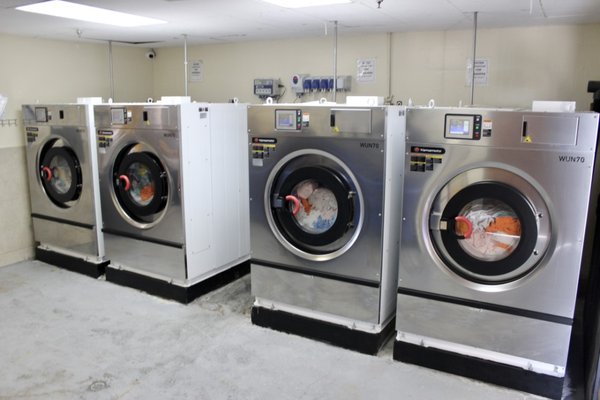 Premier Laundry Solutions for Healthcare & Hospitality - Chemmark Inc. offers comprehensive laundry solutions tailored for the healthcare and hospitality industries. They provide top-tier commercial laundry equipment and dispensing systems designed to meet the rigorous demands of hospitals, hotels, nursing homes, and other facilities that require large-scale laundry operations. Their offerings include automatic pump systems that ensure a touch-free operation, enhancing both efficiency and safety.

Chemmark’s equipment is complemented by a full range of high-quality laundry chemicals, including alkaline boosters, detergents, bleaches, and fabric softeners, all formulated to deliver exceptional cleaning results while maintaining fabric quality. These products are distributed in eco-friendly, returnable containers, reflecting Chemmark’s commitment to sustainability and cost-efficiency.

In addition to equipment and chemicals, Chemmark also provides ongoing service and maintenance, ensuring that your laundry systems remain in optimal condition. Their team of trained technicians handles everything from installation to preventative maintenance, helping to reduce downtime and extend the life of your equipment.

Whether you’re managing a healthcare facility that requires strict sanitation standards or a hotel that needs to keep linens pristine for guests, Chemmark offers reliable, high-performance solutions to meet your laundry needs.