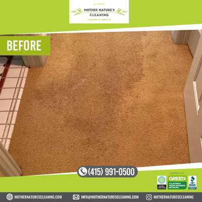 Pet Urine and Odor Removal - As much as we love our dearest pets, they can be a little destructive (especially when they’re babies!). Pet urine can cause permanent damage to carpets and furniture, and the longer it soaks in, the harder it is to remove.
Check out these HUGE urine stains on a carpet – luckily the stains were treated shortly after they were made, and the results are satisfying.
Check out more of our natural cleaning services, and read about our all-natural green philosophy.
To book an outdoor furniture or carpet cleaning service, fill out our contact form and one of our dedicated Mother Nature’s Cleaning team members will be in touch. Pet Urine and Odor Removal - As much as we love our dearest pets, they can be a little destructive (especially when they’re babies!). Pet urine can cause permanent damage to carpets and furniture, and the longer it soaks in, the harder it is to remove.
Check out these HUGE urine stains on a carpet – luckily the stains were treated shortly after they were made, and the results are satisfying.
Check out more of our natural cleaning services, and read about our all-natural green philosophy.
To book an outdoor furniture or carpet cleaning service, fill out our contact form and one of our dedicated Mother Nature’s Cleaning team members will be in touch.