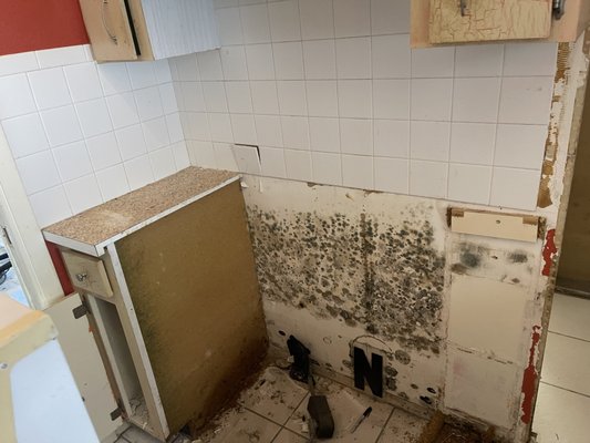 Water, Fire Mold - We do it all! - At BioBusters Remediation, we specialize in comprehensive restoration services—from emergency water damage and toxic mold removal to full fire cleanup and build-back. With over 15 years of lab science and field expertise, we tackle every job with precision, safety, and care. Whether it’s a flooded floor, smoke-stained ceiling, or mold-infested wall, our licensed team is here to restore your property—and your peace of mind.