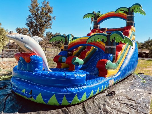 18Ft Dolphin Water slide with Local Empire Party Rentals. - Make a splash at your next event with our 18Ft Dolphin Water slide with Local Empire Party Rentals. Perfect for children & adults 18Ft Dolphin Water slide with Local Empire Party Rentals. - Make a splash at your next event with our 18Ft Dolphin Water slide with Local Empire Party Rentals. Perfect for children & adults