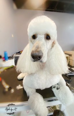 Hey hey hey!!!😍 - We Are Extremely Busy At The Moment. Appointment only. Add 510-828-2854 Hey hey hey!!!😍 - We Are Extremely Busy At The Moment. Appointment only. Add 510-828-2854