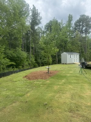 Sod install! - Customer wanted sod installed to existing yard to finish out project! Sod install! - Customer wanted sod installed to existing yard to finish out project!