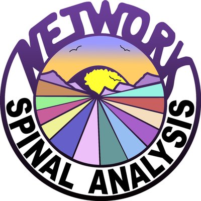 Network Spinal Analysis - Network Spinal Analysis is a chiropractic discipline that focuses on the patterns of stress in the spine and how they are reflected in the body. Using gentle and specific contacts made along the spine, the body is able to become self-aware, to unwind these tension patterns, and to learn new strategies for how to adapt to life's stressors.