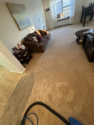 Wall to wall heavily soiled. Deep Cleaning. - Wall to wall carpet deep cleaning.