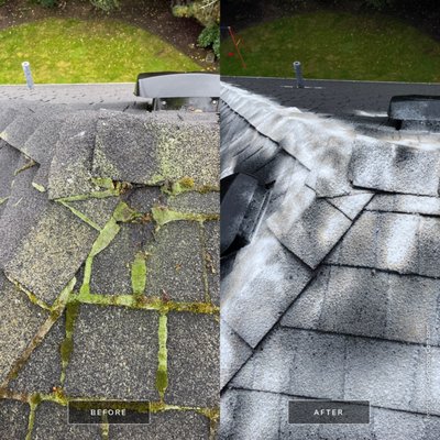 Moss Removal & Treat - Moss traps moisture, damaging shingles and inviting leaks. Regular cleaning prolongs roof life and keeps your home dry. Moss Removal & Treat - Moss traps moisture, damaging shingles and inviting leaks. Regular cleaning prolongs roof life and keeps your home dry.