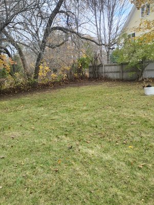 we go above and beyond for our customers no matter what job - lawn mowing, fall leaf and trimming to snow removal we go above and beyond for our customers no matter what job - lawn mowing, fall leaf and trimming to snow removal