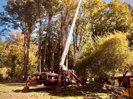 Crane work - No matter the size of the job we can bring in the heavy equipment to make sure you and your home are safely taken care of. Give us a call at (253) 683-TREE (8733) to get your free quote today!