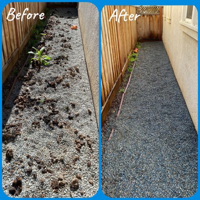 Pet Waste Management 2025 - This was initially a one-time cleanup but turned into recurring services after the owners saw how much of a difference we made. Pet Waste Management 2025 - This was initially a one-time cleanup but turned into recurring services after the owners saw how much of a difference we made.