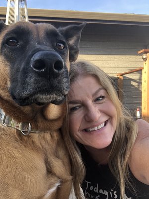 Pet sitting - pet sitting Pet sitting - pet sitting