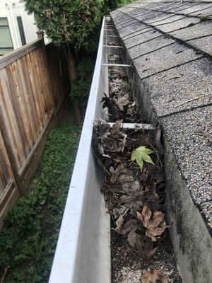 Gutter Cleaning - Client had backed up gutters and water was pooling out of the middle. A large tree in the backyard was the culprit to the myriad of leaves and debris. Nonetheless we got to work scooping all debris out and giving the gutter a gentle pressure wash for a cleaner look. Client was very happy with the results. Gutter Cleaning - Client had backed up gutters and water was pooling out of the middle. A large tree in the backyard was the culprit to the myriad of leaves and debris. Nonetheless we got to work scooping all debris out and giving the gutter a gentle pressure wash for a cleaner look. Client was very happy with the results.