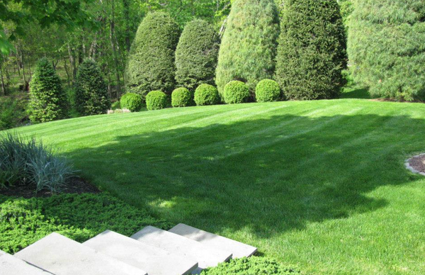 Better for the environment!! - Better for the environment and your grass! Call today for consultation! Better for the environment!! - Better for the environment and your grass! Call today for consultation!