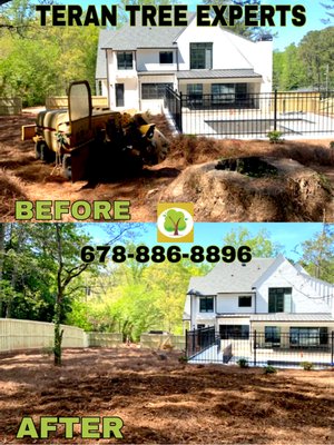 TREE REMOVAL - FREE ESTIMATES
STUMP GRINDING
STORM DAMAGE
TREE TRIMMING
TREE HEALTH ASSESSMENTS AND MORE!