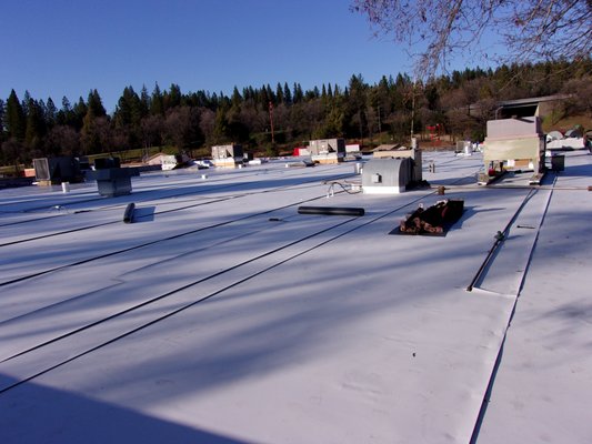 Commercial Roofing Services - We have 37 Years of Experience, providing Affordable Commercial roofing in our community! Commercial Roofing Services - We have 37 Years of Experience, providing Affordable Commercial roofing in our community!