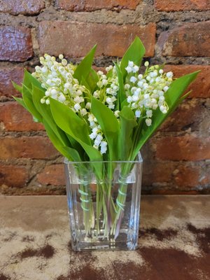 Mother's Day 2025 - Please us or visit our webiste Beautiful arrangement and custom made bouquets. for that special lady in oy Mother's Day 2025 - Please us or visit our webiste Beautiful arrangement and custom made bouquets. for that special lady in oy