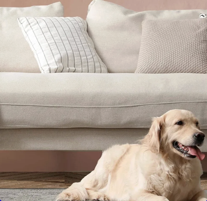 Pet Treatment Enzyme Services - This especially effective eliminates pet odor and stains ensuring a clean and fresh environment for both you and your furry friends