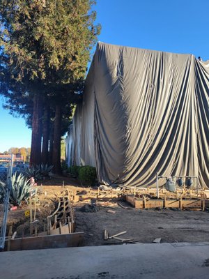 Experienced In Commercial Building Fumigations - We don’t just fumigate residential homes; we bring our expertise to commercial buildings as well, including boutiques, restaurants, banks, medical facilities, apartments, and even police stations. The list continues to expand with each passing year!

Our dedicated team is eager to tackle the task at hand. While it does require careful planning on both sides, including the safe removal or double bagging of consumable items in special Nylofume bags, we are here to assist you and your staff every step of the way. Whether your project is big or small, we’re ready to help and proudly offer free consultations.