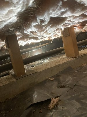 👨🔧 Raw Sewage Repair - The homeowner was smelling raw sewage. So we immediately got under the house and replaced the broken pipes! 👨🔧 Raw Sewage Repair - The homeowner was smelling raw sewage. So we immediately got under the house and replaced the broken pipes!