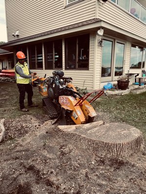 STUMP REMOVAL - Get a free estimate ! STUMP REMOVAL - Get a free estimate !