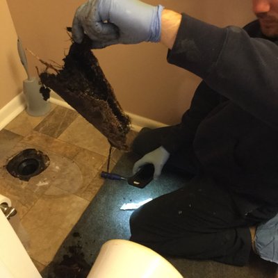 Clogged toilet Deptford NJ - Job Description: Customers basement bathroom was backing up when toilet was flushed. We pulled the toilet and removed this load of roots from the drain. Drain was treated with chemicals to reduce root growth in the future. Reset toilet and the bathroom was functional again. Clogged toilet Deptford NJ - Job Description: Customers basement bathroom was backing up when toilet was flushed. We pulled the toilet and removed this load of roots from the drain. Drain was treated with chemicals to reduce root growth in the future. Reset toilet and the bathroom was functional again.