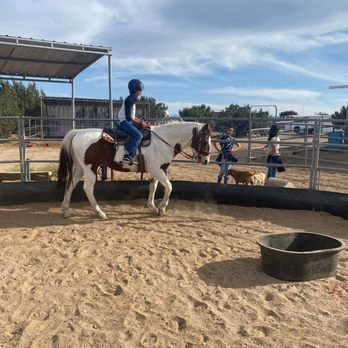 Horseback Riding Lessons - Nestled in the heart of Oak Hills, CA, Wild Wind Ranch is dedicated to providing quality horseback riding lessons for riders of all experience levels. Whether you're a beginner eager to saddle up for the first time or an experienced rider looking to refine your skills, our experienced instructors are here to ensure you not only learn the fundamentals of riding but do so in a safe and fun environment.
At Wild Wind Ranch, we believe that horseback riding should be both enjoyable and educational. Our lessons are designed to build confidence, enhance your riding abilities, and teach you essential horsemanship skills. Safety is our top priority, so we provide all riders with the proper equipment and guidance to ensure they are comfortable and secure throughout their lesson. Horseback Riding Lessons - Nestled in the heart of Oak Hills, CA, Wild Wind Ranch is dedicated to providing quality horseback riding lessons for riders of all experience levels. Whether you're a beginner eager to saddle up for the first time or an experienced rider looking to refine your skills, our experienced instructors are here to ensure you not only learn the fundamentals of riding but do so in a safe and fun environment.
At Wild Wind Ranch, we believe that horseback riding should be both enjoyable and educational. Our lessons are designed to build confidence, enhance your riding abilities, and teach you essential horsemanship skills. Safety is our top priority, so we provide all riders with the proper equipment and guidance to ensure they are comfortable and secure throughout their lesson.