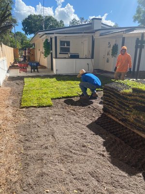 renovating and improving gardens - We installed new grass. renovating and improving gardens - We installed new grass.