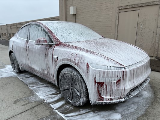 Tesla Model Y - 2026 Tesla Model Y Full Front End PPF and Full Tint Tesla Model Y - 2026 Tesla Model Y Full Front End PPF and Full Tint