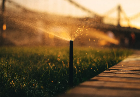 Irrigation Services - Our services include:

- Sprinkler systems

- Valve repair or insalltion 

- Timer installation 

- Overseeding