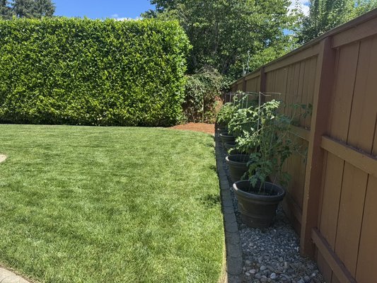Normal residential maintenance - Normal residential property maintenance we mow edge blow spray weed killer pull some weed Normal residential maintenance - Normal residential property maintenance we mow edge blow spray weed killer pull some weed