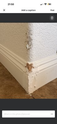 Dog Damage & Failed Repair Fix - This project involved repairing a damaged drywall corner and baseboard that had been affected by pet damage and a previous unsuccessful repair attempt. The damaged materials were rebuilt, patched, textured to match the existing wall finish, caulked, and painted. The final result blends seamlessly with the surrounding wall and trim for a clean, finished appearance. Dog Damage & Failed Repair Fix - This project involved repairing a damaged drywall corner and baseboard that had been affected by pet damage and a previous unsuccessful repair attempt. The damaged materials were rebuilt, patched, textured to match the existing wall finish, caulked, and painted. The final result blends seamlessly with the surrounding wall and trim for a clean, finished appearance.