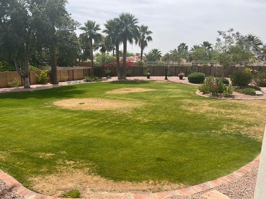 Paradise valley - This was a 6,000 sq fit project in paradise valley. 4 day turn around Paradise valley - This was a 6,000 sq fit project in paradise valley. 4 day turn around