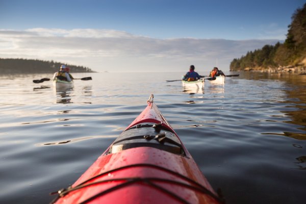 Kayak the Cove - Our Kayak the Cove hour trip is one of our most popular tours! 

 Our three-hour day has 2-3 hours of on-the-water paddling and exploration. If time allows we stretch our legs on a Nature Conservancy protected island in the bay or a beautiful beach along the way, paddle the cove and explore the intricate geology and wildlife! One of our favorite tours good for the whole family!