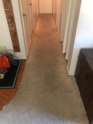 Carpet Cleaning - Carpet Cleaning Before & After Photos. Carpet Cleaning - Carpet Cleaning Before & After Photos.