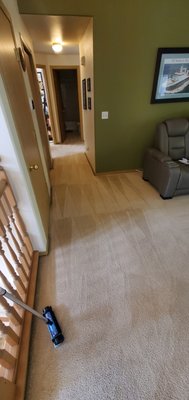 Low moisture carpet cleaning residential - Very low moisture cleaning (VLM for short) is an increasingly popular method of carpet cleaning used mostly in commercial environments, and less often in residential applications (though this is quickly changing). VLM is broadly defined in the industry as a method of carpet cleaning that limits drying to 1-2 hours. VLM processes include encapsulation cleaning, ‘pad capping’, bonnet cleaning and compound cleaning. In recent years the industry has seen a dramatic rise in the use of VLM, though many cleaners remain unaware of it or know little about it.