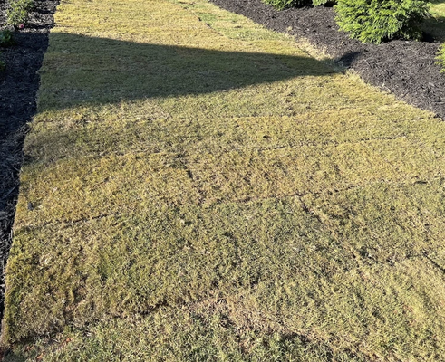 Sod installs - Frank's Lawn Maintenance LLC is known for its eco-friendly, quality landscaping, We believe in quality over quantity building lasting relationships with our clients. Why people choosing us? for our reliability, trust and commitment off our work, knowing that Frank's Lawn Maintenance LLC is a reliable company to trust for its services. Just give us a call 470-642-7007 Sod installs - Frank's Lawn Maintenance LLC is known for its eco-friendly, quality landscaping, We believe in quality over quantity building lasting relationships with our clients. Why people choosing us? for our reliability, trust and commitment off our work, knowing that Frank's Lawn Maintenance LLC is a reliable company to trust for its services. Just give us a call 470-642-7007