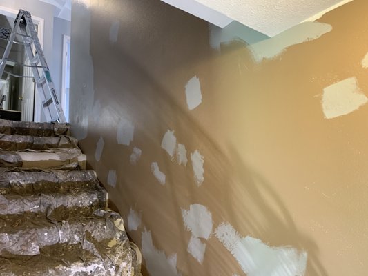 Glorious grey stairwell- no more screw-pops and flaws! - The clients wanted a durable, scrubbable grey shine- and a hundred plus dents, scratches and drywall “screw pops” fixed. But they were not comfortable tackling the steep stairwell themselves. They called to arrange a consultation and felt comfortable with my work ethos and explanation of the repairs- so much that they yielded almost all of their home into my capable care.
After carefully taping off the carpet, two thicknesses of drop cloths were set in place and the multitude of repairs begun. Using fans and fast-drying patching compound, these were sanded and the texture blended- all with dust control for the home. Then came a primer coat on all repairs and two top coats of Behr Ultra satin. See the clients review- here on Yelp- Daniel. See his video testimonial at: https://www.youtube.com/watch?v=AJ4mipP6y_g
Gone was the depressing dented stairwell and now it is restored to a soothing, bright & cheerful new look. Imagine your home transformed and call Frank at 314-671-8030 to get your project underway today with Bespoke Painting Services. Glorious grey stairwell- no more screw-pops and flaws! - The clients wanted a durable, scrubbable grey shine- and a hundred plus dents, scratches and drywall “screw pops” fixed. But they were not comfortable tackling the steep stairwell themselves. They called to arrange a consultation and felt comfortable with my work ethos and explanation of the repairs- so much that they yielded almost all of their home into my capable care.
After carefully taping off the carpet, two thicknesses of drop cloths were set in place and the multitude of repairs begun. Using fans and fast-drying patching compound, these were sanded and the texture blended- all with dust control for the home. Then came a primer coat on all repairs and two top coats of Behr Ultra satin. See the clients review- here on Yelp- Daniel. See his video testimonial at: https://www.youtube.com/watch?v=AJ4mipP6y_g
Gone was the depressing dented stairwell and now it is restored to a soothing, bright & cheerful new look. Imagine your home transformed and call Frank at 314-671-8030 to get your project underway today with Bespoke Painting Services.