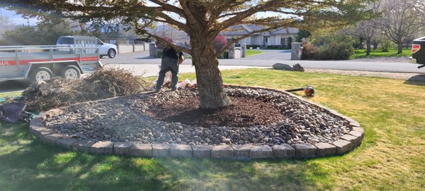 Tree service pictures from just a few jobs - various job pictures and a few fun ones