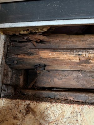 structure repairs,rot replacement - We do code compliant rot replacement as well as structure repair or even additional structure support for any project in the home!