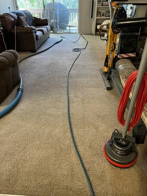 Thousand Oaks apartments - This Thousand Oaks apartment had not been cleaned in six years. The carpet was an overall good condition, but the traffic lanes were heavily soiled. I used my multi stage cleaning process to restore and bring life back to this carpet.