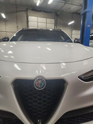 Alfa Romeo - We know that it can be difficult to get your Alfa Romeo serviced but here at Precision European Auto Repair we can take care of any maintenance or repair that your Alfa might need. Alfa Romeo - We know that it can be difficult to get your Alfa Romeo serviced but here at Precision European Auto Repair we can take care of any maintenance or repair that your Alfa might need.