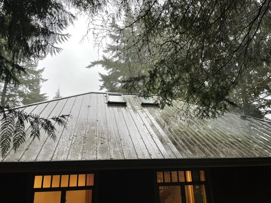 Metal Roof Cleaning - This was a fun and very transfermational cleaning for this customer! There was years of lichen, moss and algae build up. We are very happy with the results and the customer was so excited to have the original look of their roof back. Metal Roof Cleaning - This was a fun and very transfermational cleaning for this customer! There was years of lichen, moss and algae build up. We are very happy with the results and the customer was so excited to have the original look of their roof back.