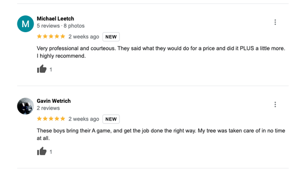 Google Reviews - Google Reviews